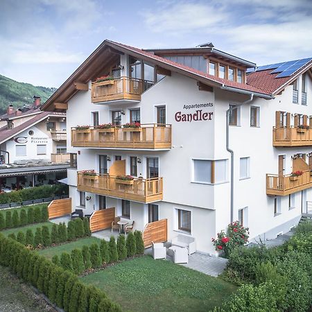 Appartement Gandler Olang Экстерьер фото